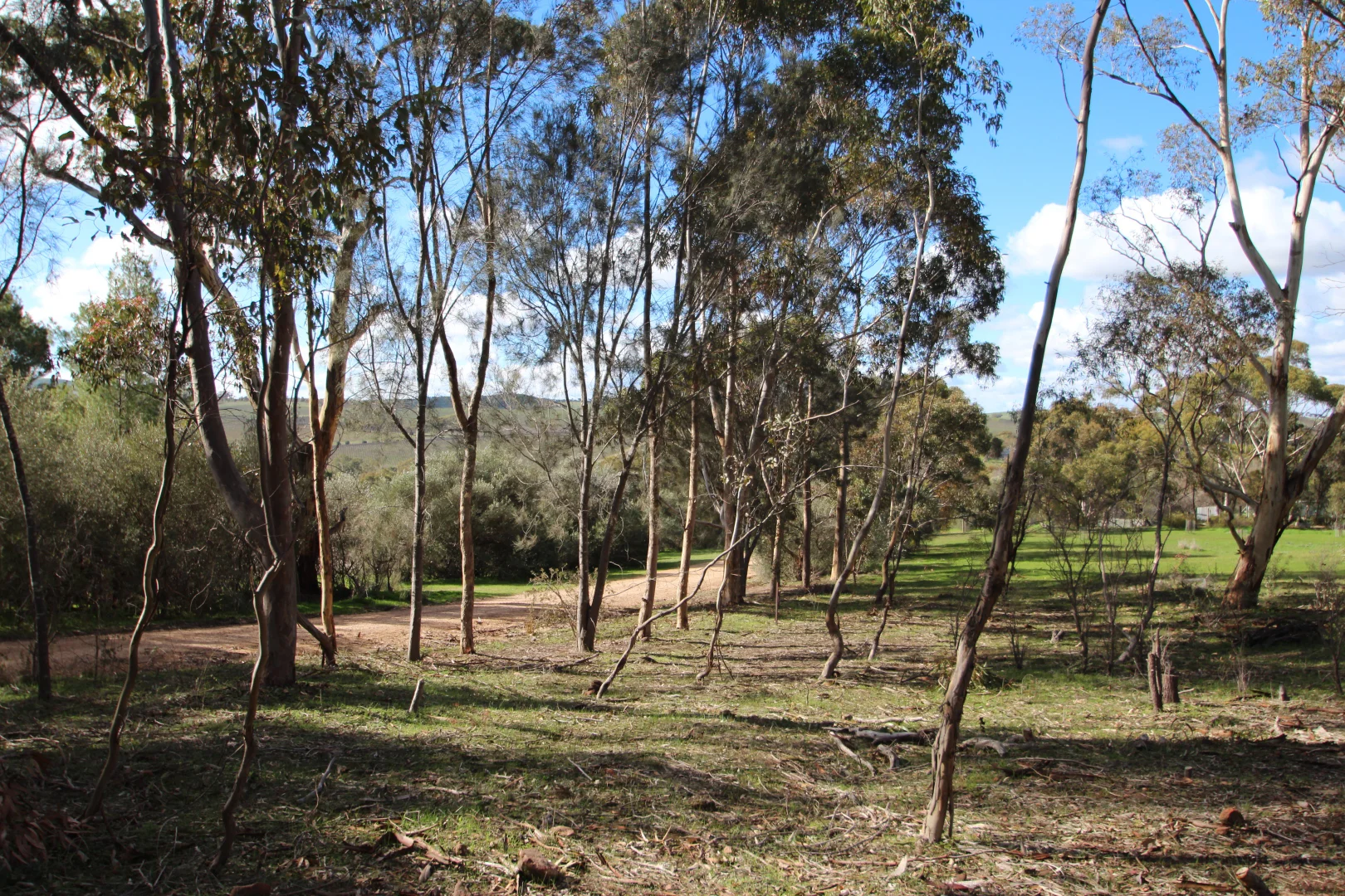 Additional image 5 of 9 West Terrace, Leasingham SA 5452