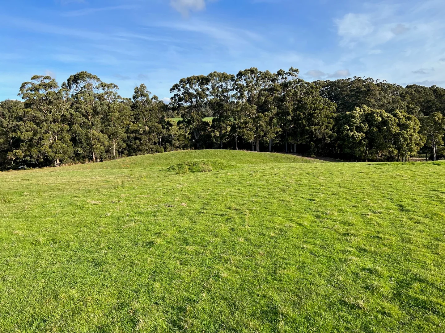 Additional image 9 of Lot 2 Faheys Lane, Irishtown TAS 7330