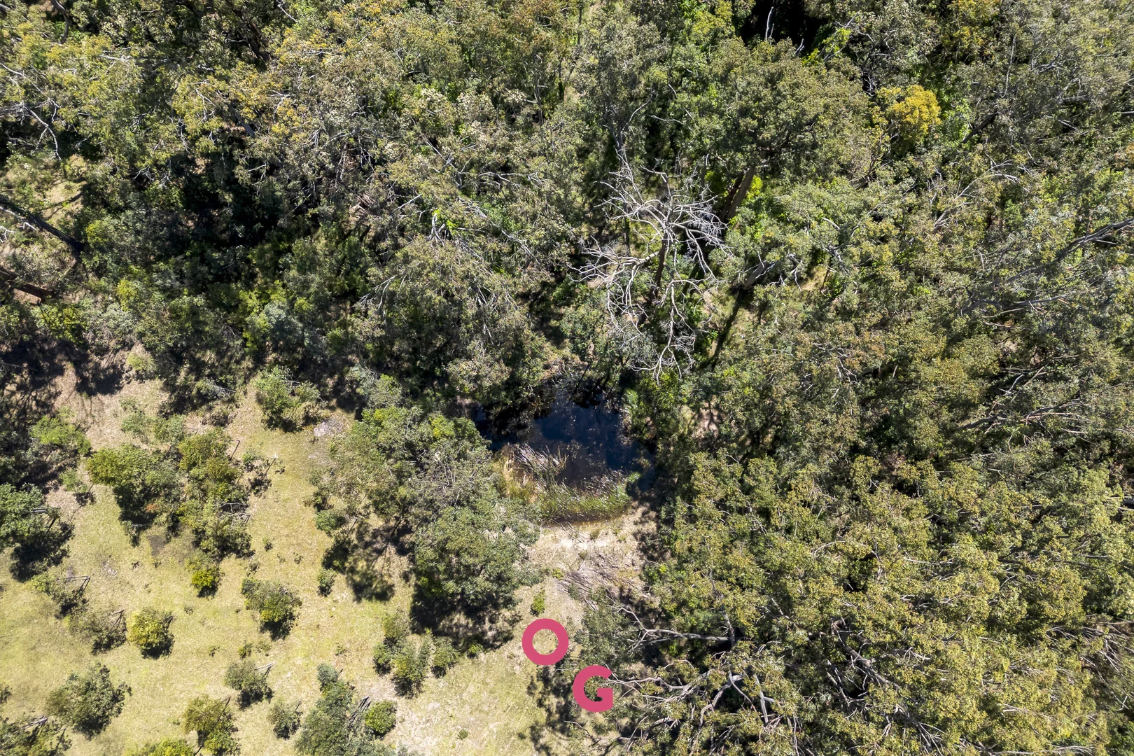 Additional image 16 of 136 Limeburners Creek Road, Limeburners Creek NSW 2324