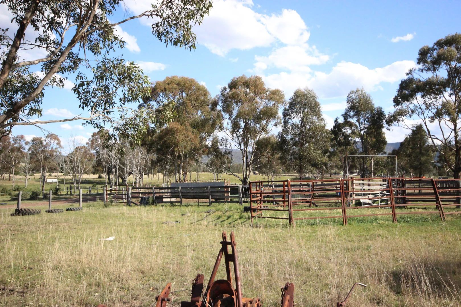 Additional image 40 of 207 Redmanvale Road, Jerrys Plains NSW 2330