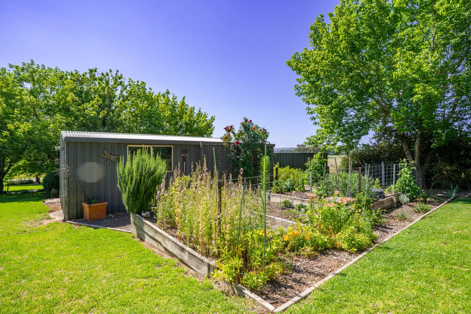 Additional image 19 of 5 East Street, Canowindra NSW 2804