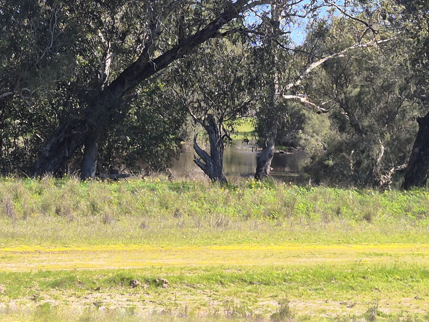 Additional image 23 of 190 Flourmill Cove, Cowalla WA 6503