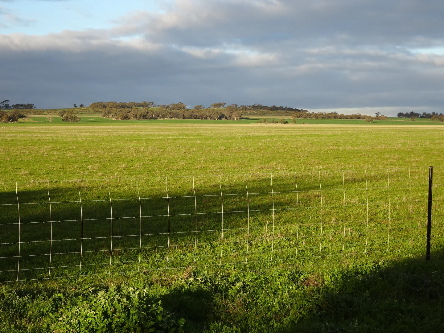 Additional image 10 of Lot 12520 Great Southern Highway, Woodanilling WA 6316