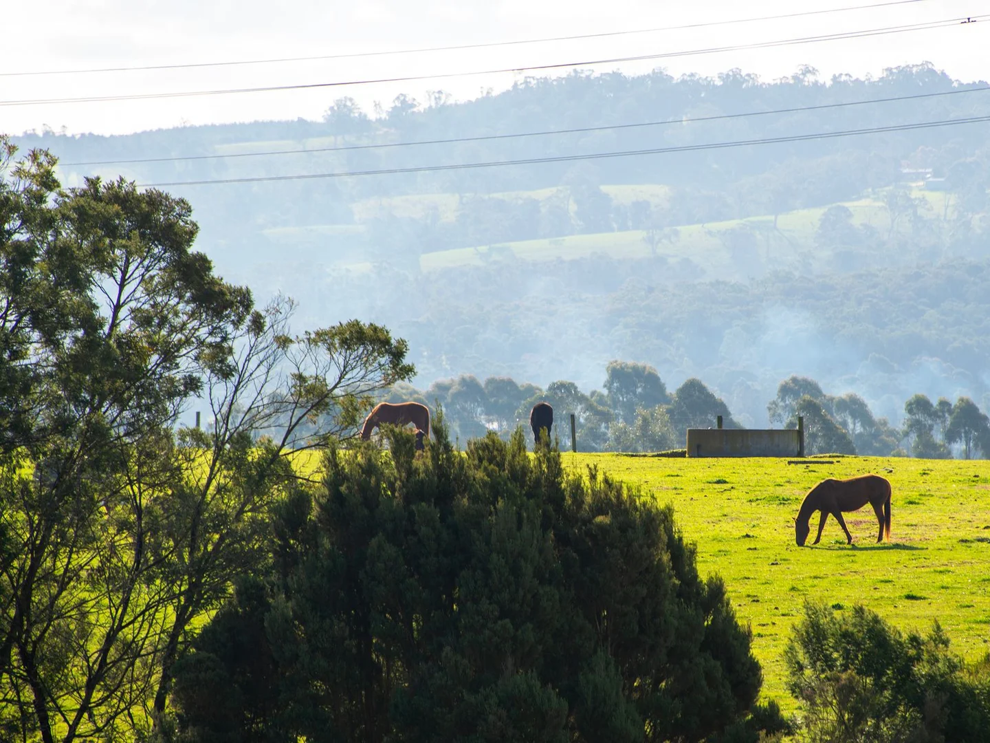 Additional image 9 of Lot 3/49 Ashworth Drive, Traralgon VIC 3844