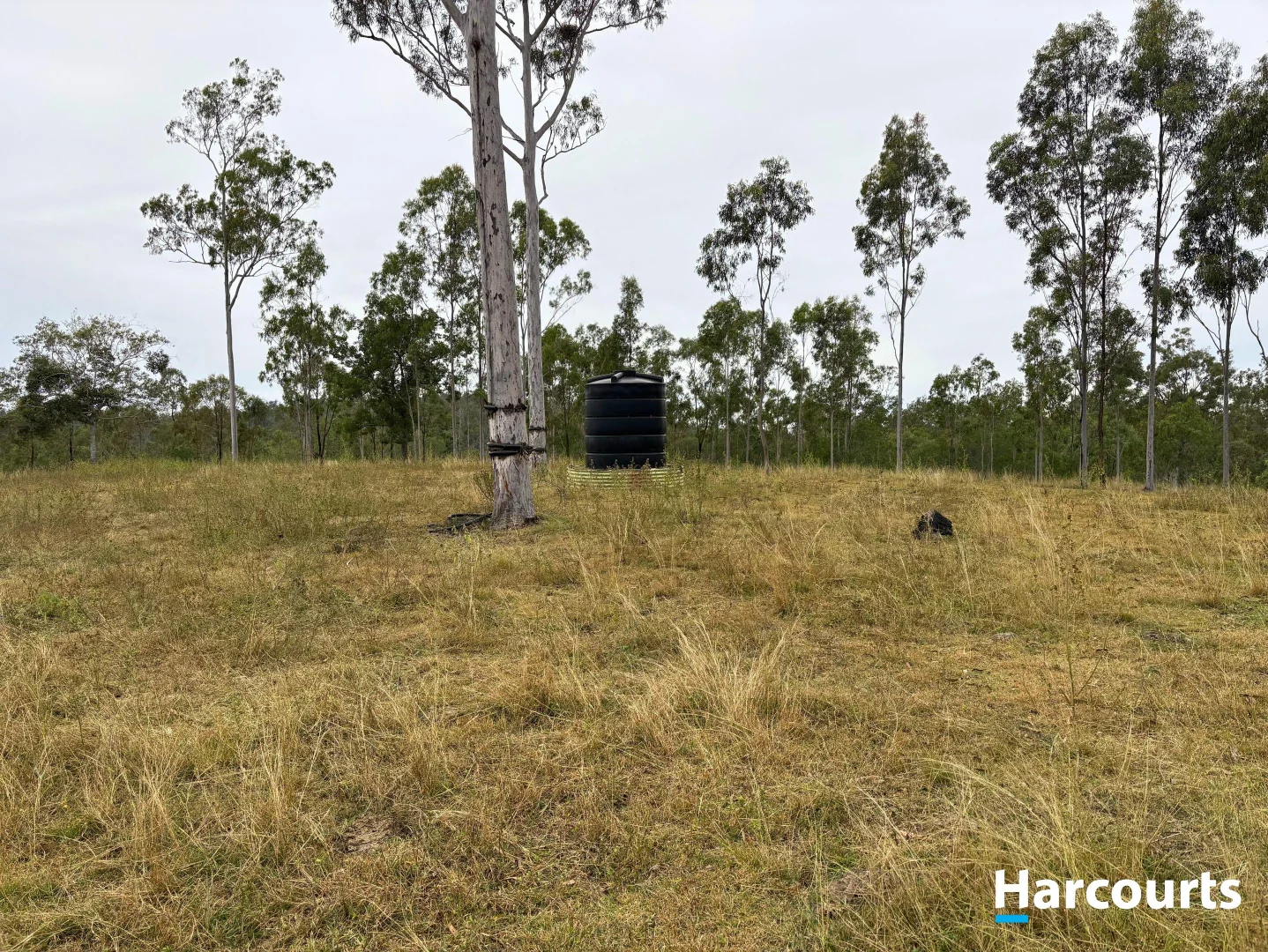 Additional image 13 of Lot 38 TENNINGERING ROAD, Good Night QLD 4671