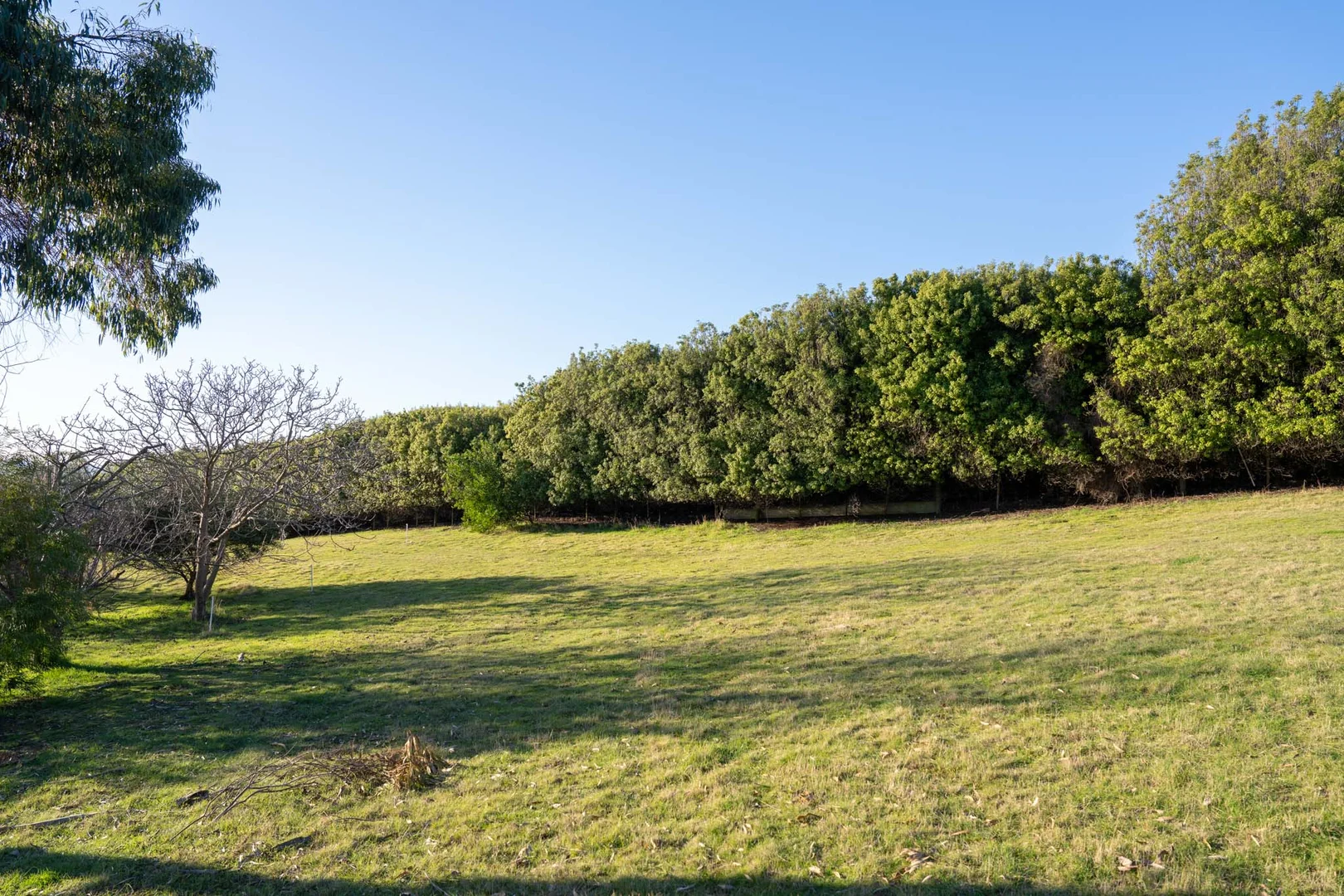 Additional image 8 of 18 Alexander Street, Leith TAS 7315