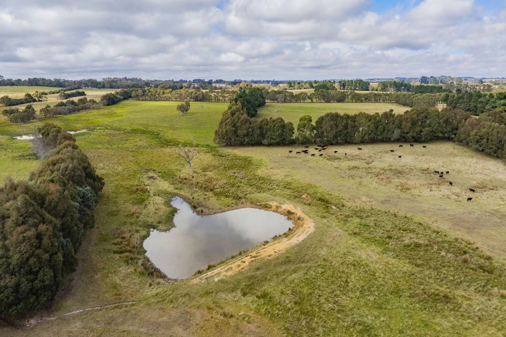 Additional image 32 of 251 Mount Rae Road, Roslyn NSW 2580