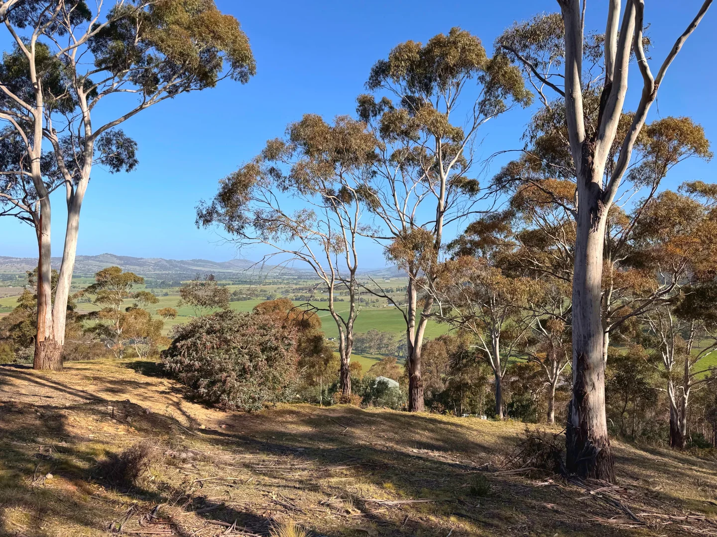 Additional image 8 of 26 Kandara Court, Campania TAS 7026