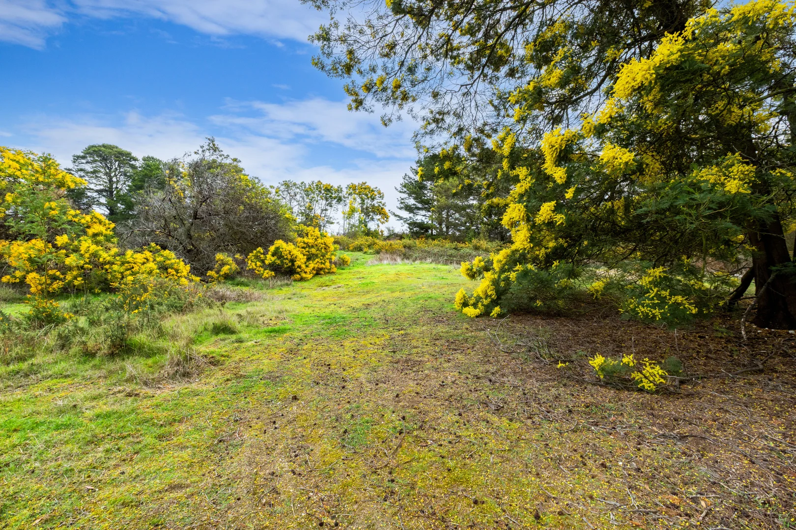 Additional image 6 of Creswick VIC 3363