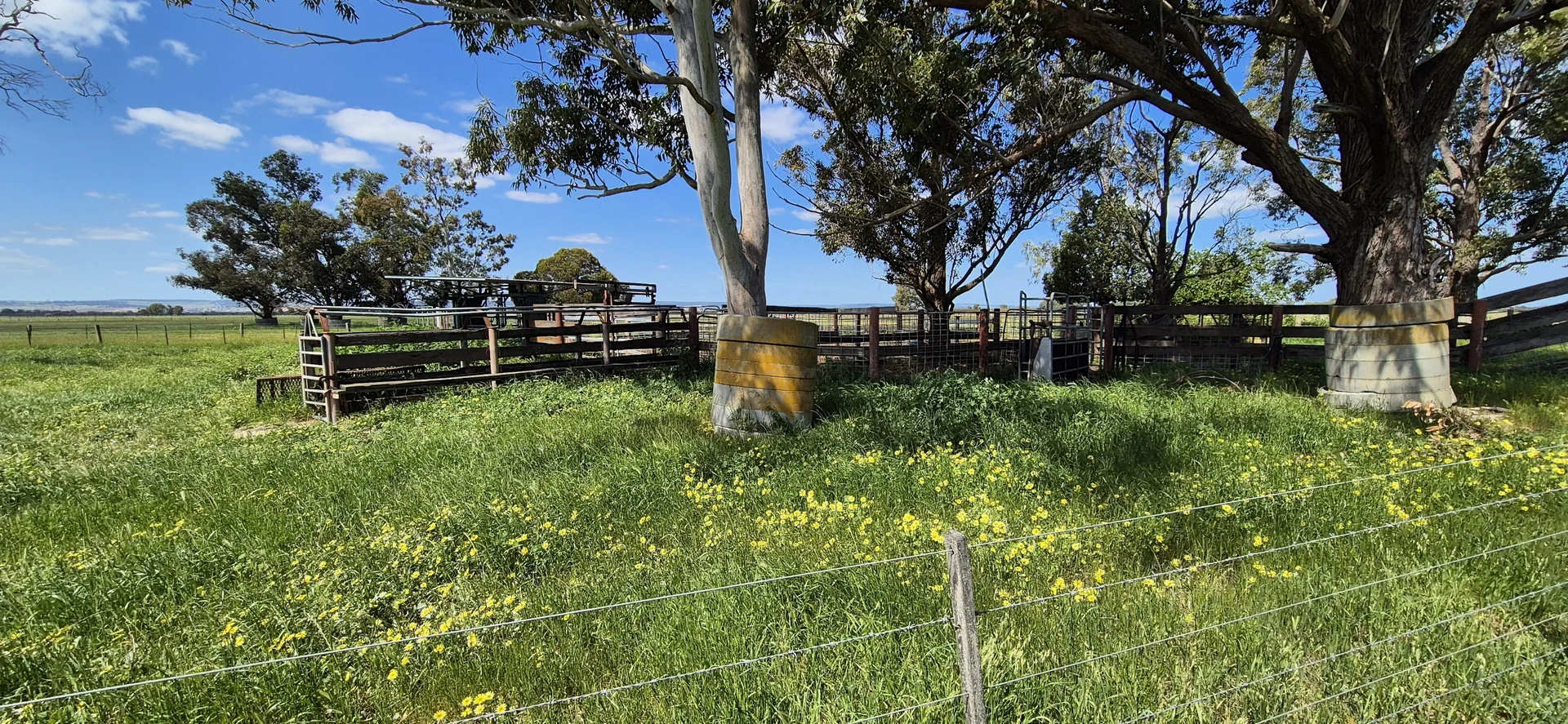 Additional image 21 of 4 Pin Pin Road, Beermullah WA 6503