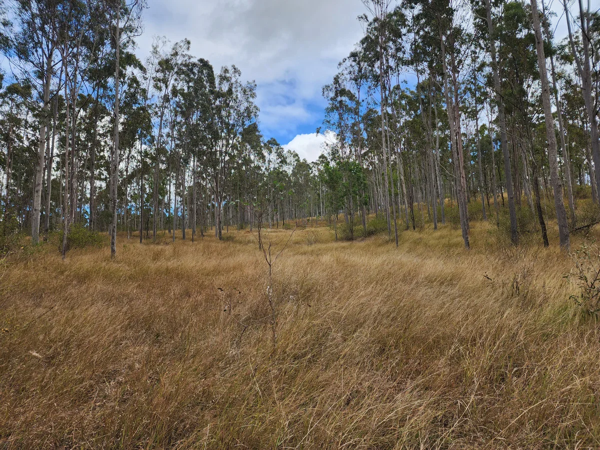 Additional image 41 of 2 Ulampa Creek Road, Nukku QLD 4314