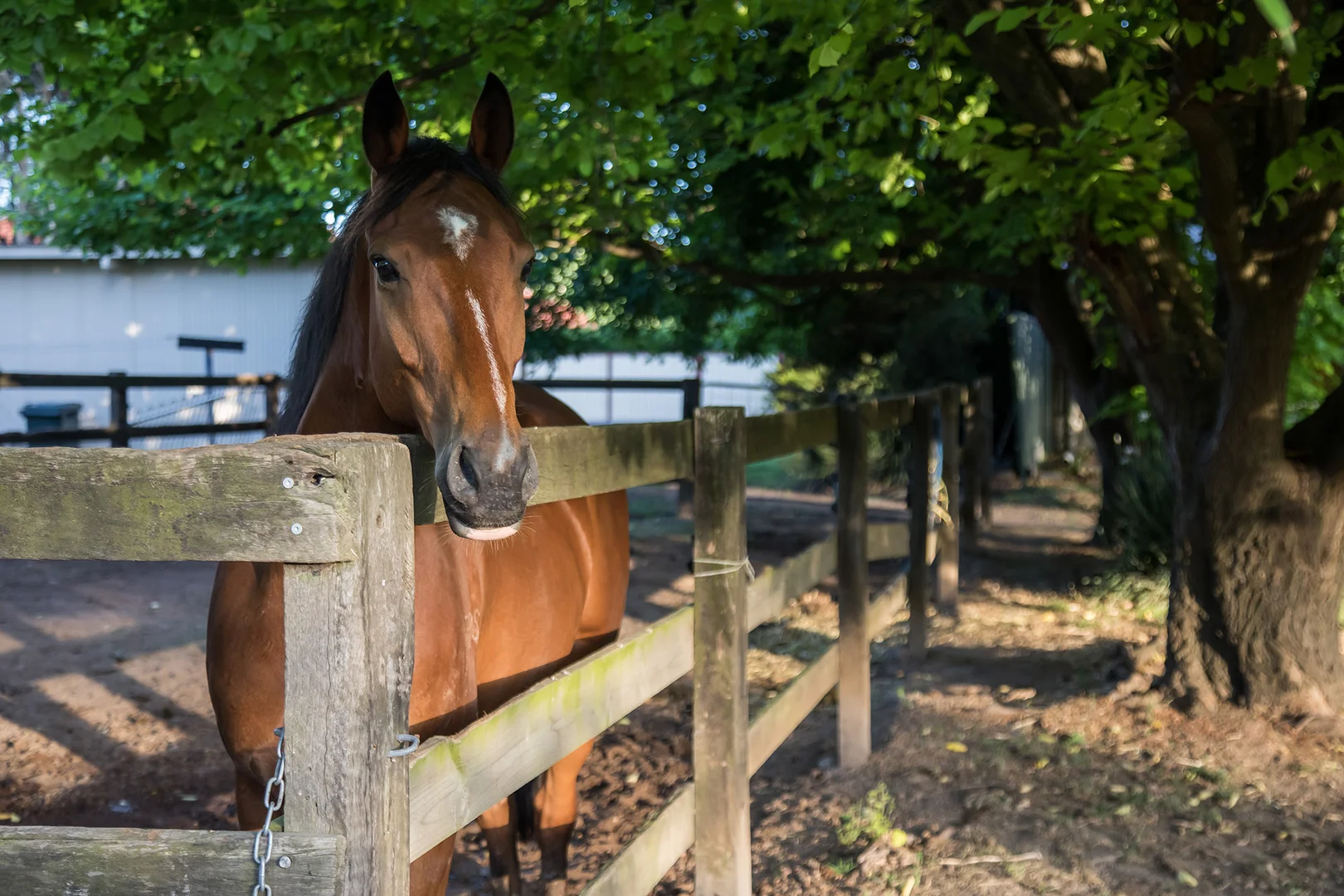 Additional image 30 of 131 Racecourse Road, Clarendon NSW 2756