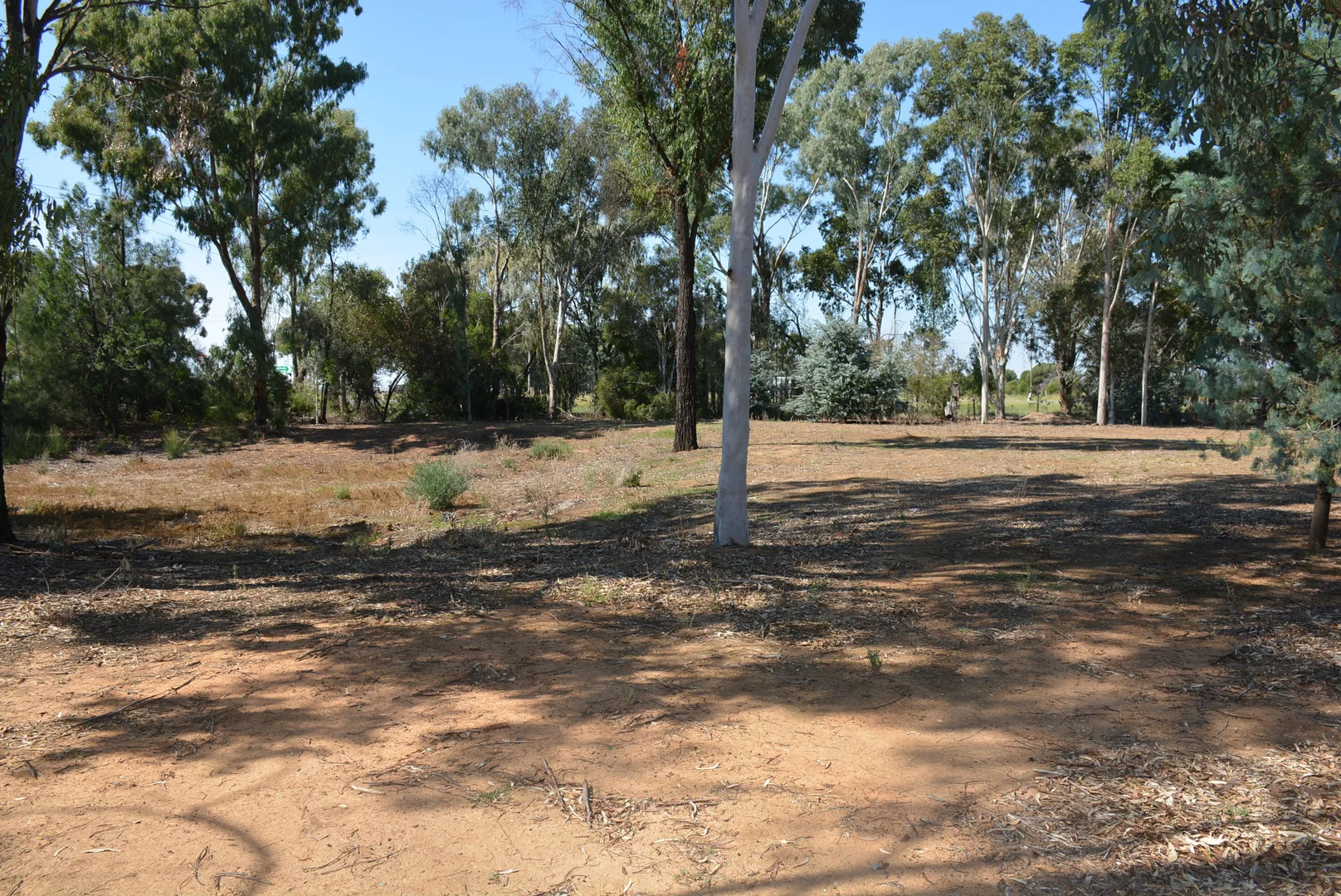 Additional image 6 of 112-114 Nangunia St, Barooga NSW 3644