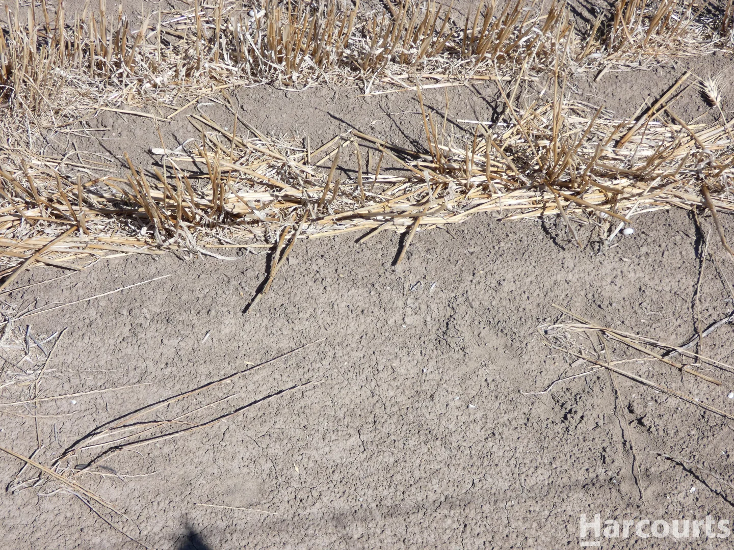 Additional image 12 of . Dimboola-Minyip Rd, Murra Warra VIC 3401