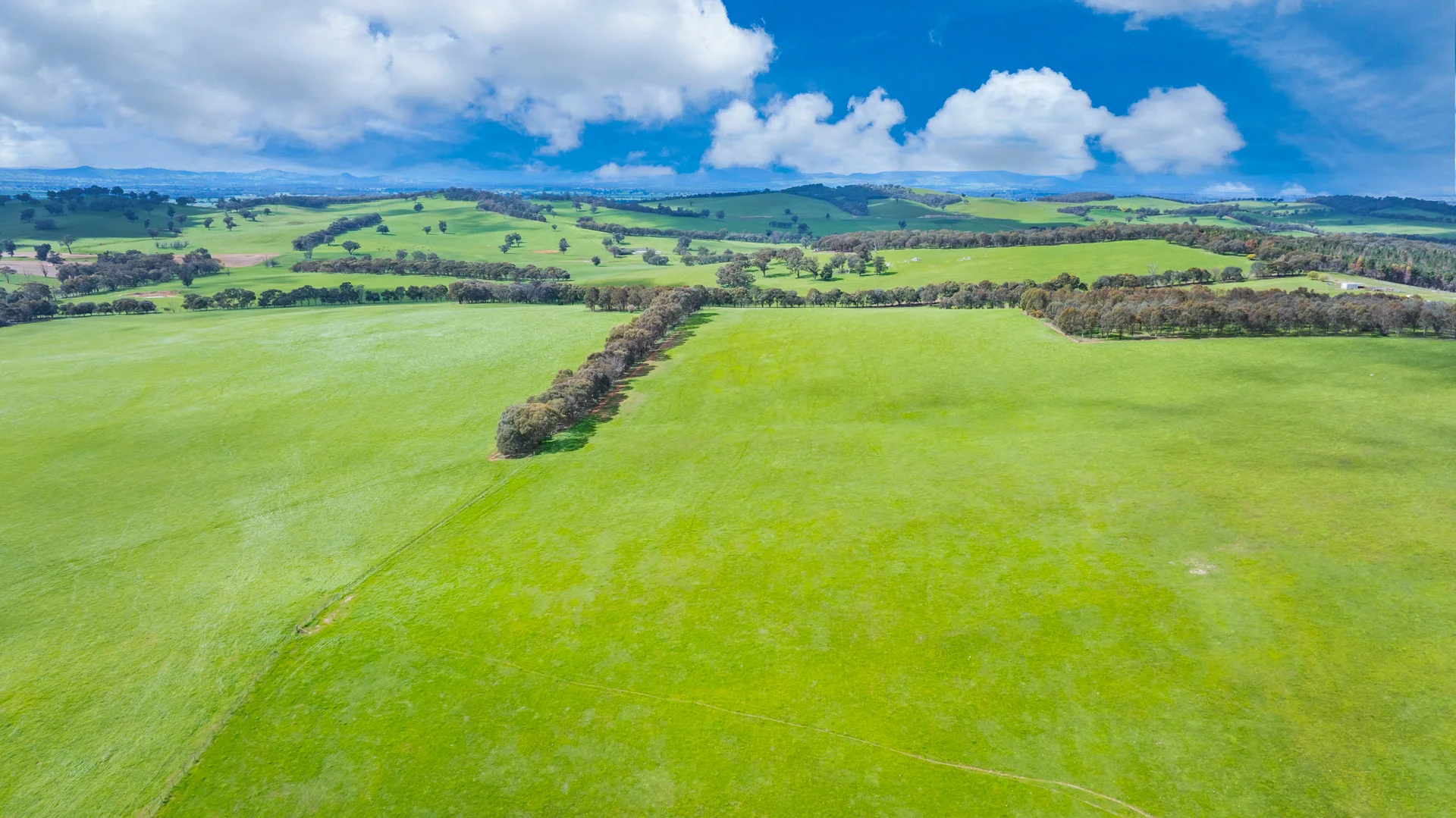 Additional image 13 of 1510 Culcairn Holbrook Road, Morven NSW 2660