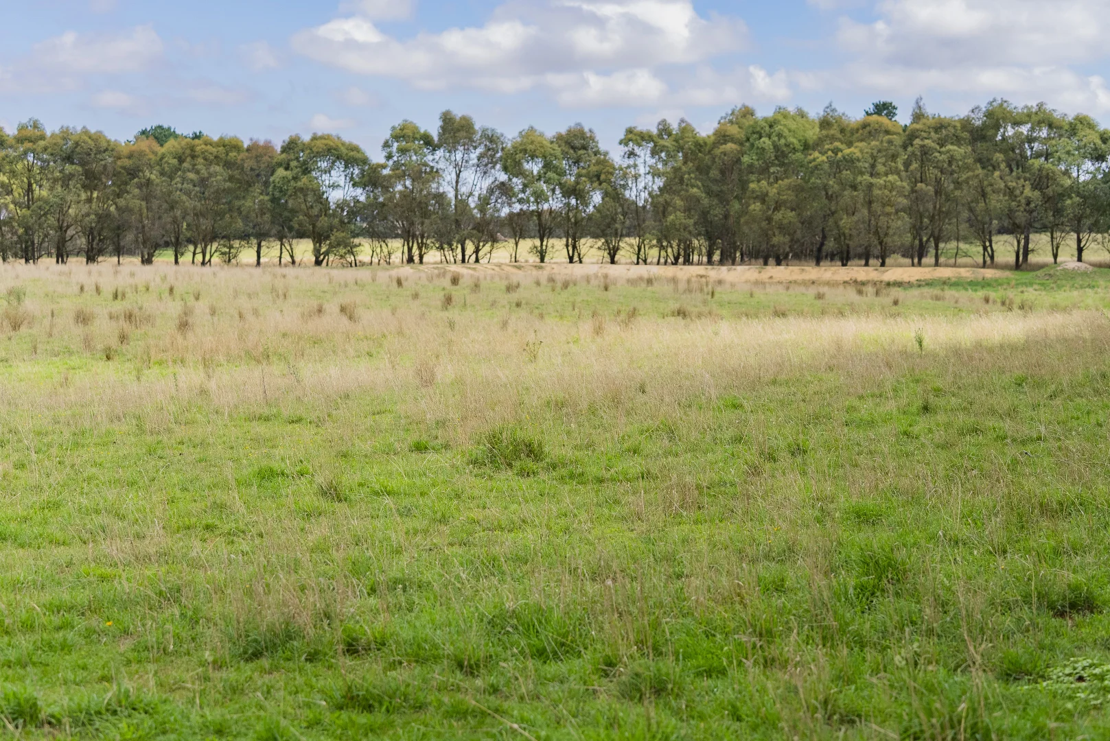 Additional image 21 of 251 Mount Rae Road, Roslyn NSW 2580