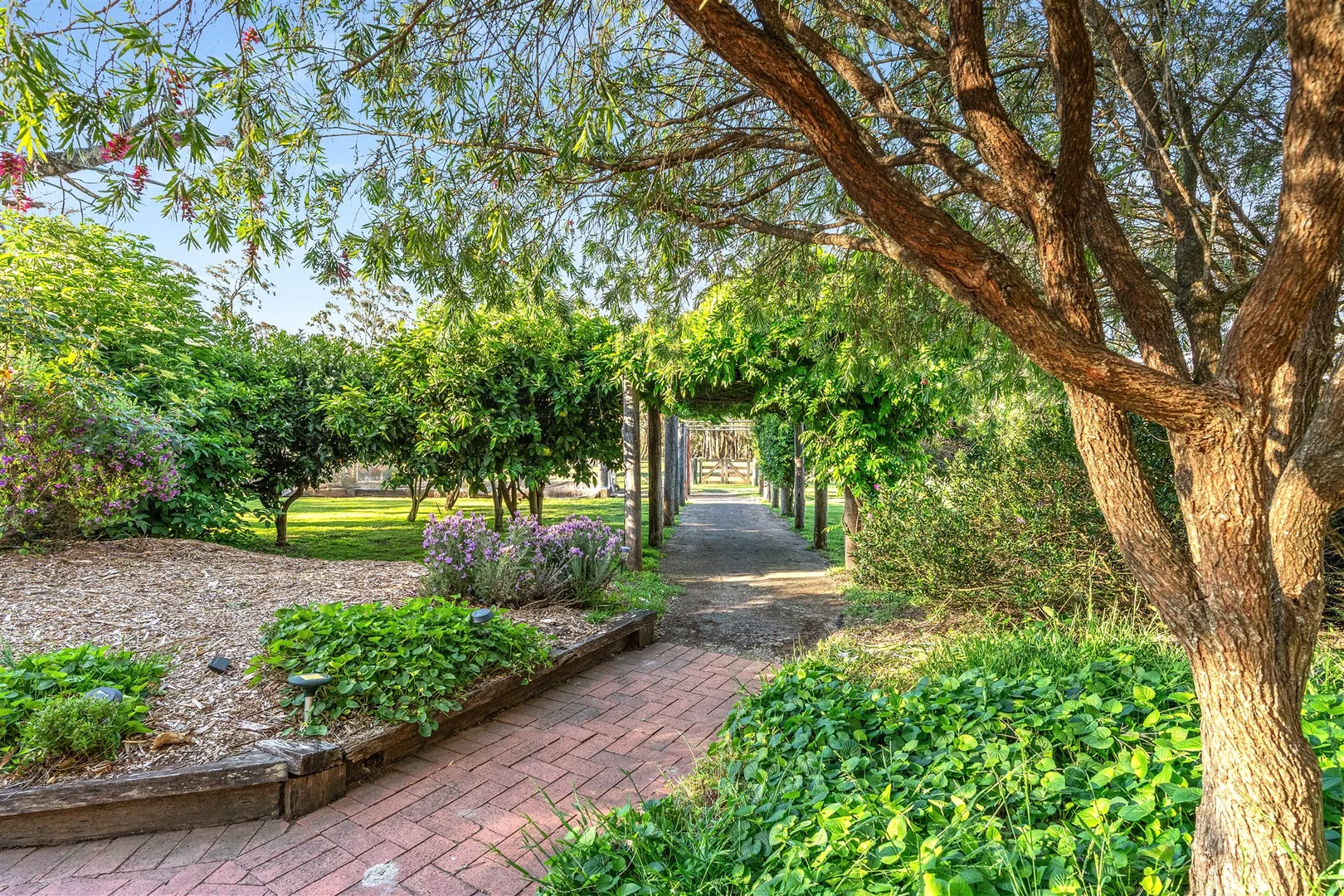 Additional image 26 of 301 Sallys Corner Road, Exeter NSW 2579