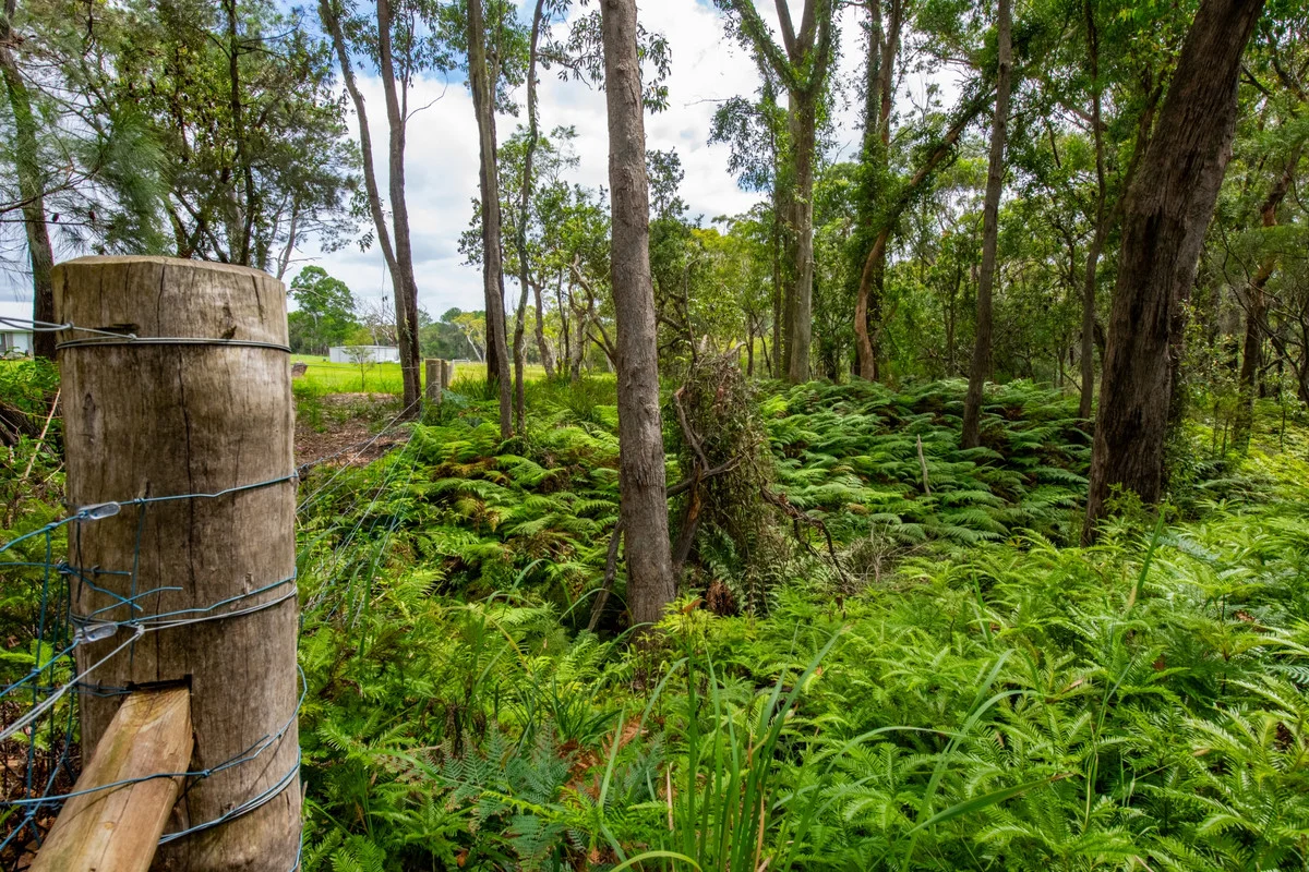 Additional image 24 of 25 Goldsmith Road, Somersby NSW 2250