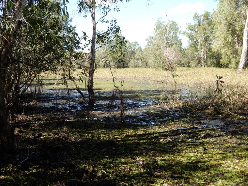 Additional image 4 of Bynoe NT 0822