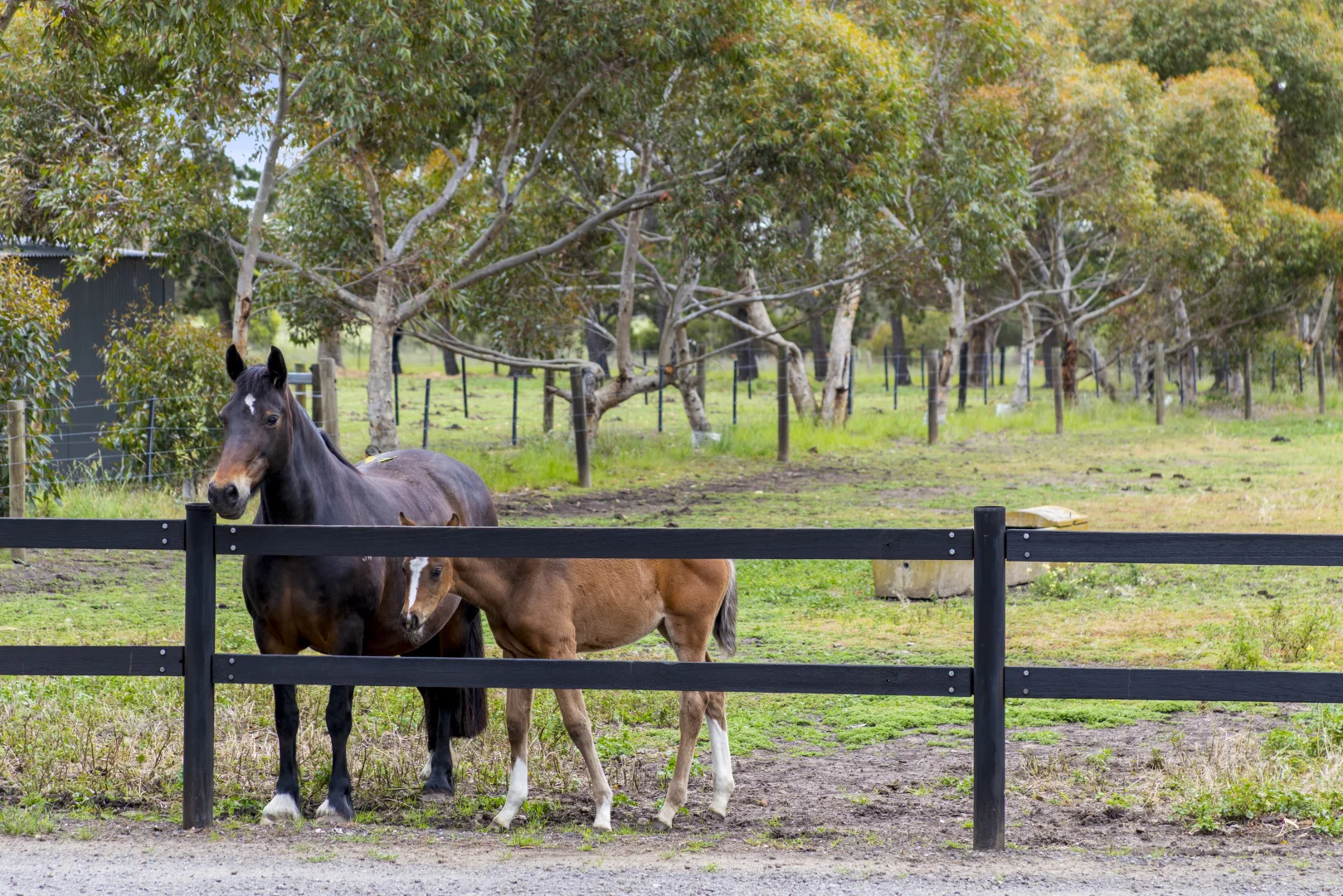 Additional image 44 of 2249 Midland Highway, Bannockburn VIC 3331