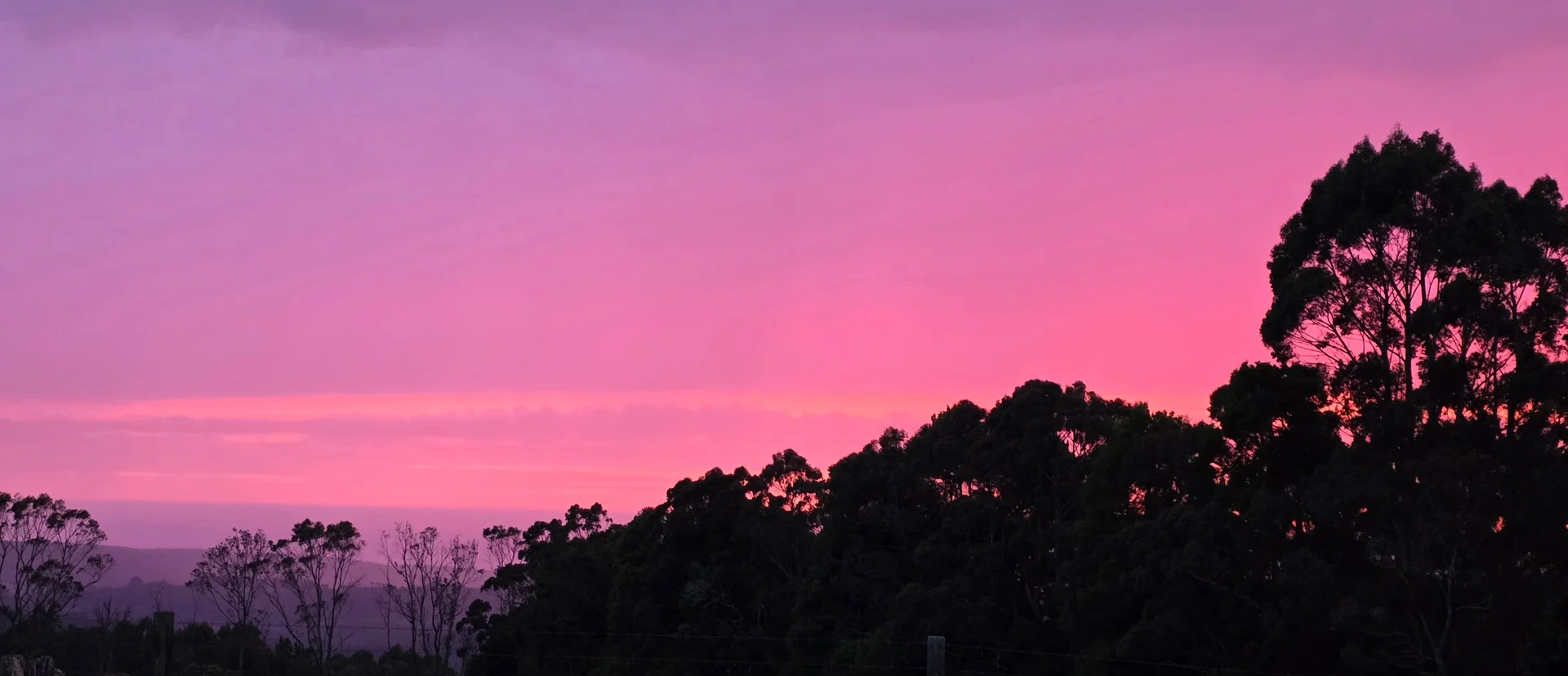 Additional image 34 of 420 Amiets Road, Wyelangta VIC 3237