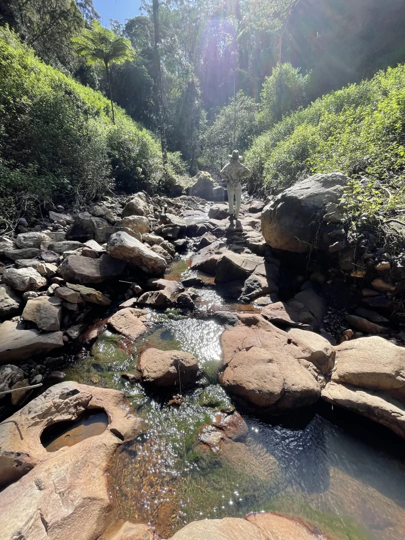 Additional image 19 of 76 Maso Road, Repentance Creek NSW 2480