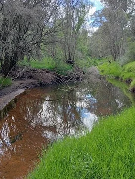 Additional image 7 of 6 Ellen Street, Brunswick WA 6224