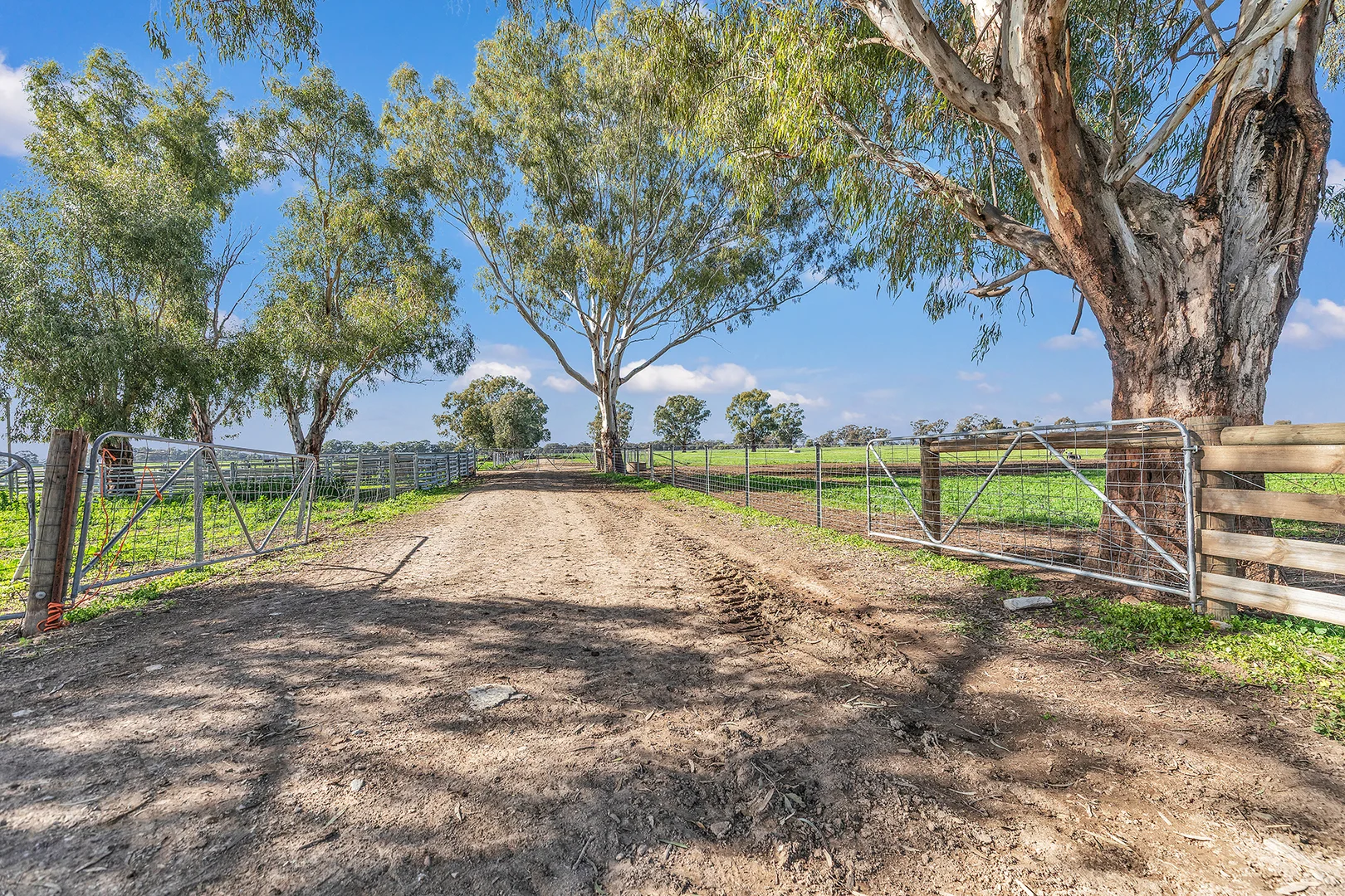 Additional image 47 of 341 Murray Valley Highway, Strathmerton VIC 3641