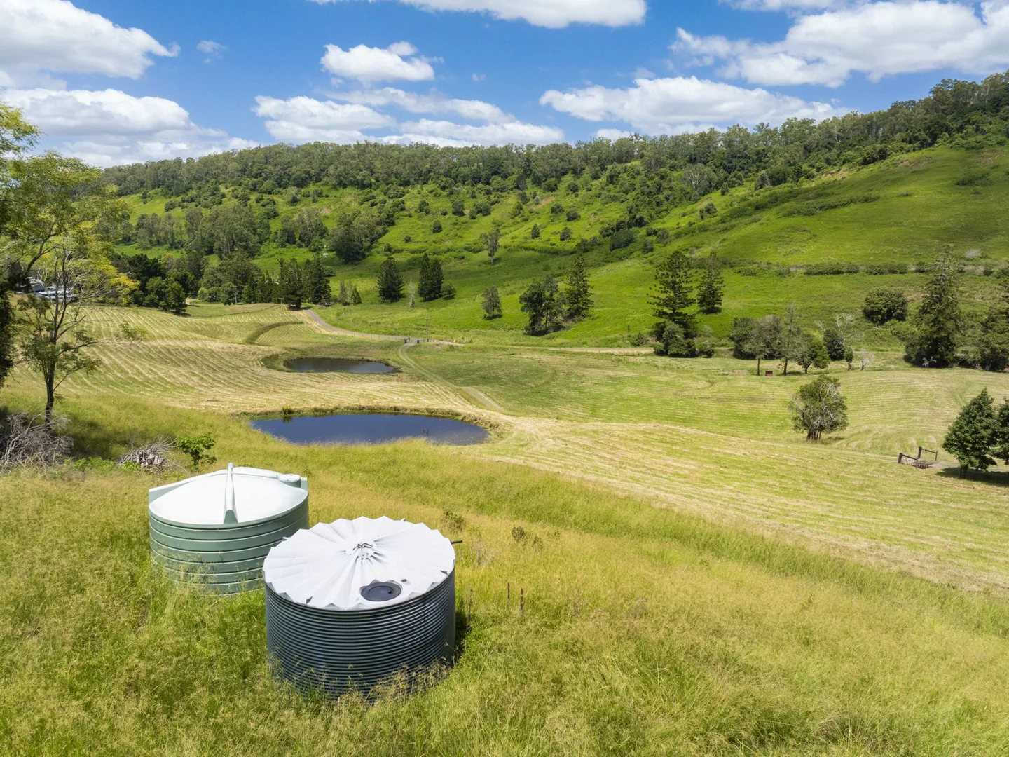 Additional image 20 of 138 Bice Road, Leycester NSW 2480