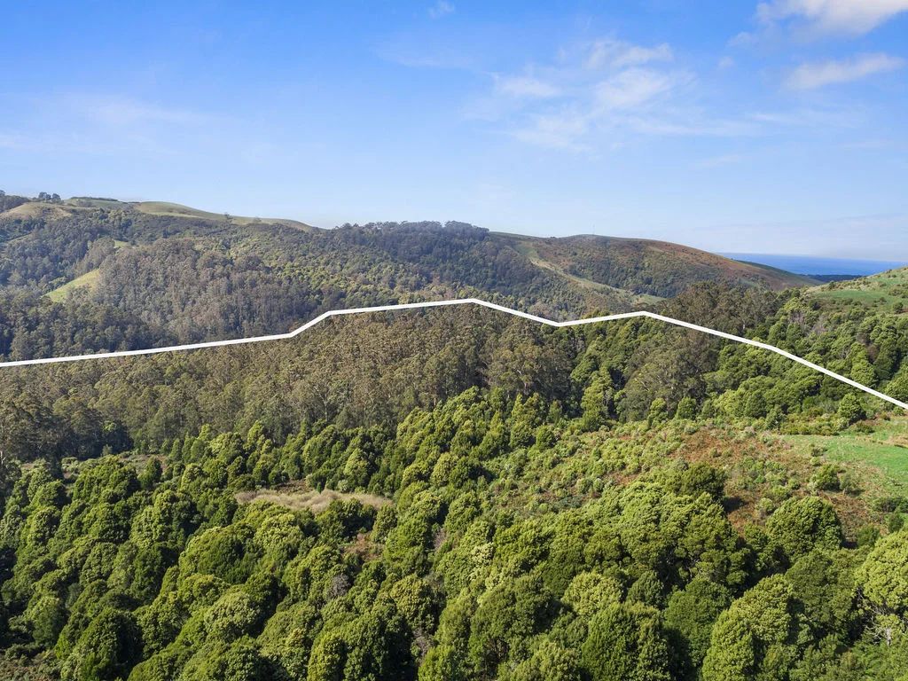 Additional image 26 of 775 Barham River Road, Apollo Bay VIC 3233