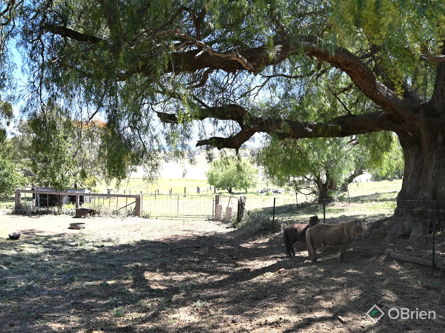 Additional image 6 of 208 Swifts Creek East Road, Doctors Flat VIC 3895