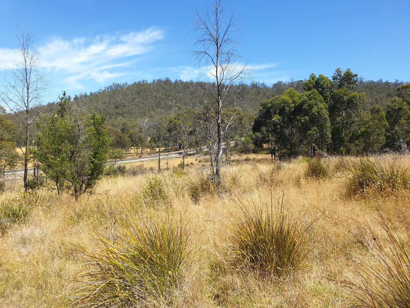 Additional image 8 of Lot 4 Lowes Road, Garden Island Creek TAS 7112