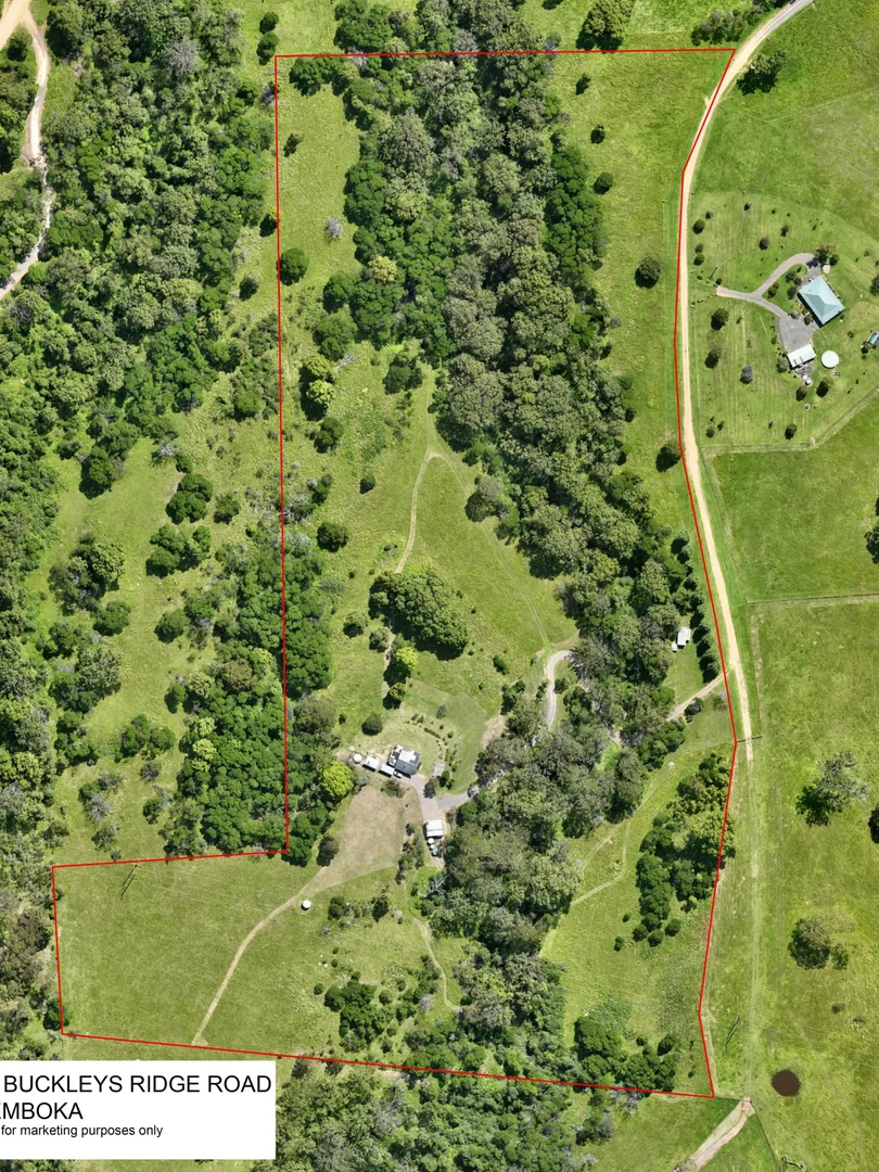 Additional image 28 of 52 Buckleys Ridge Road, Bemboka NSW 2550