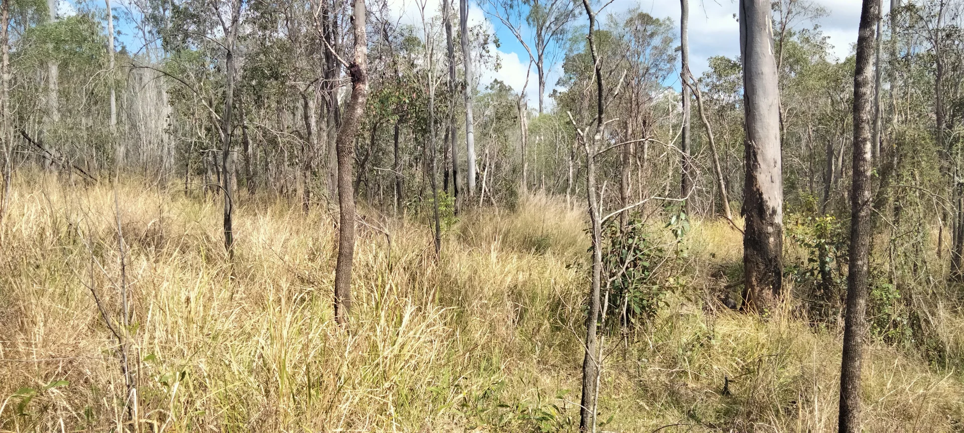 Additional image 12 of 3359 Lowmead Road, Lowmead QLD 4676