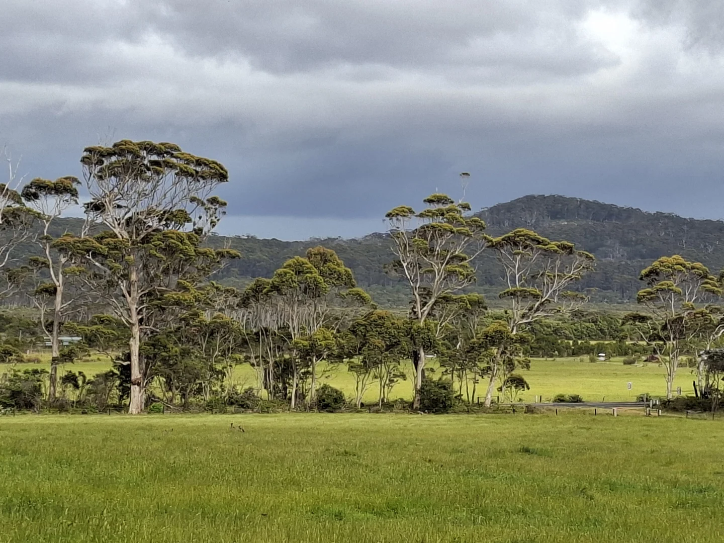 Additional image 2 of 38491 South Western Highway, Broke WA 6398
