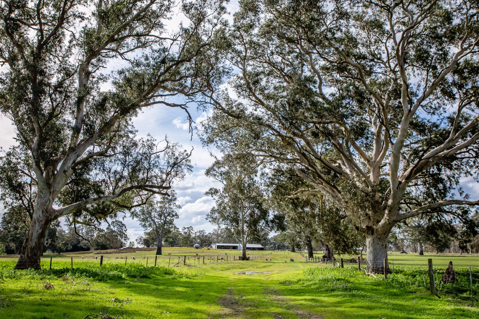 Additional image 34 of 219 Ockley Rd, Comaum SA 5277