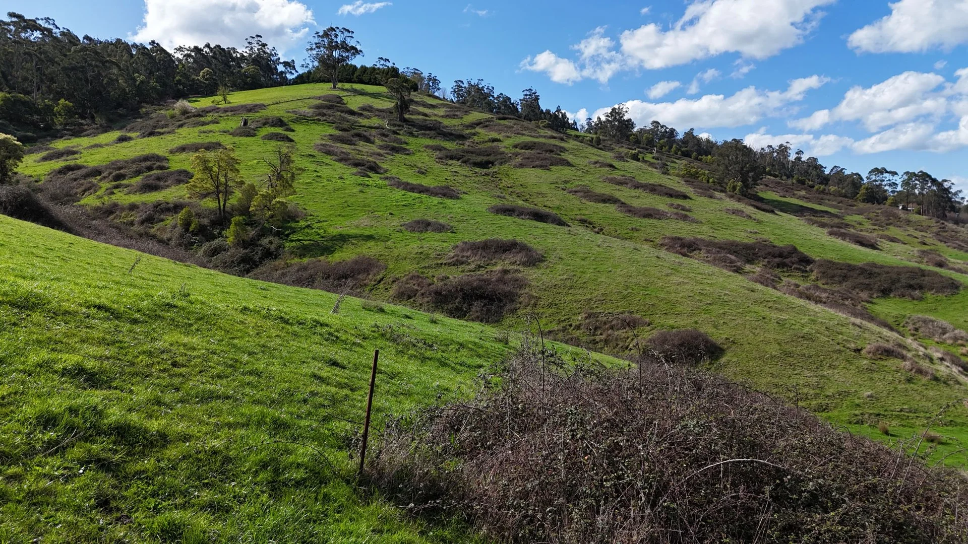 Additional image 16 of 141 BUNDERRA DRIVE, Boolarra VIC 3870