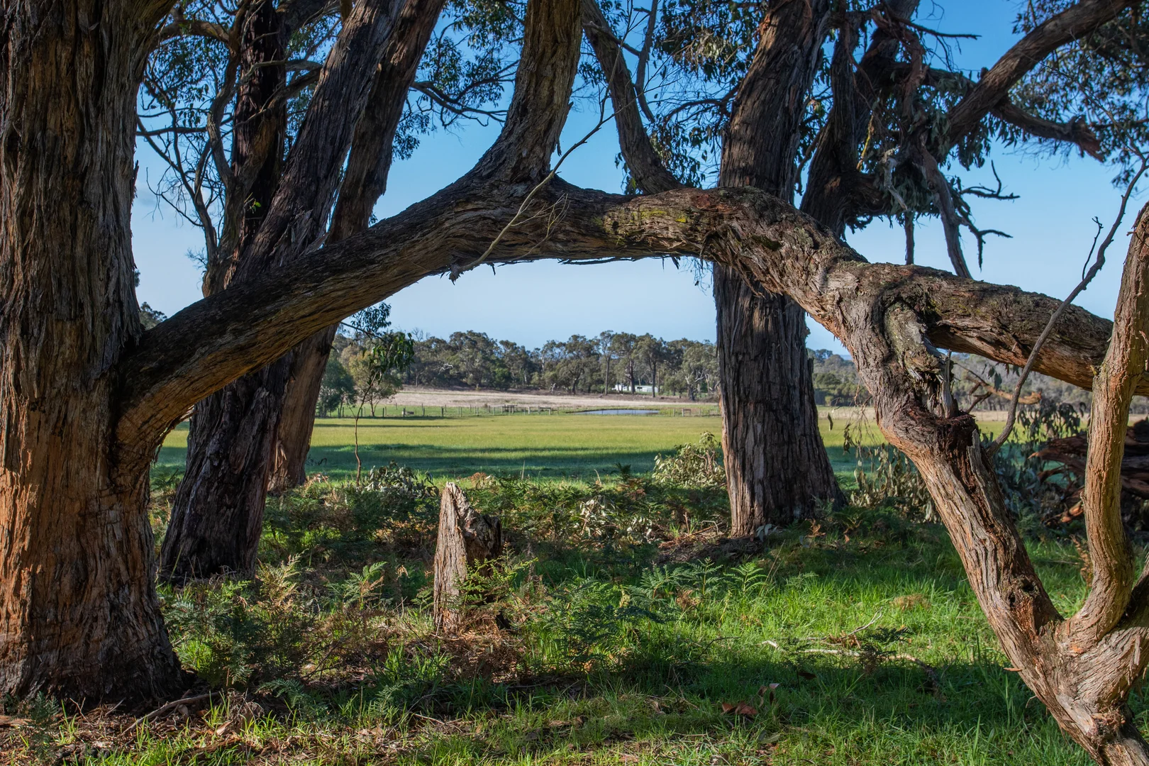 Additional image 24 of 67 Bittern-Dromana Road, Balnarring VIC 3926