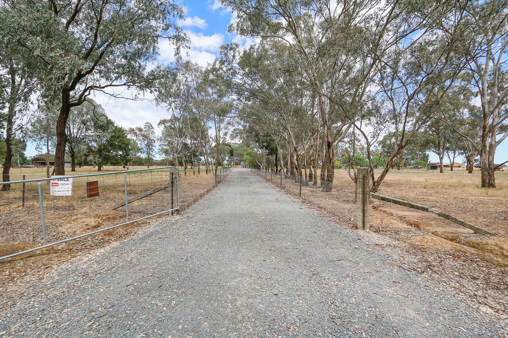 Additional image 34 of 303 Skehans Lane, Corowa NSW 2646