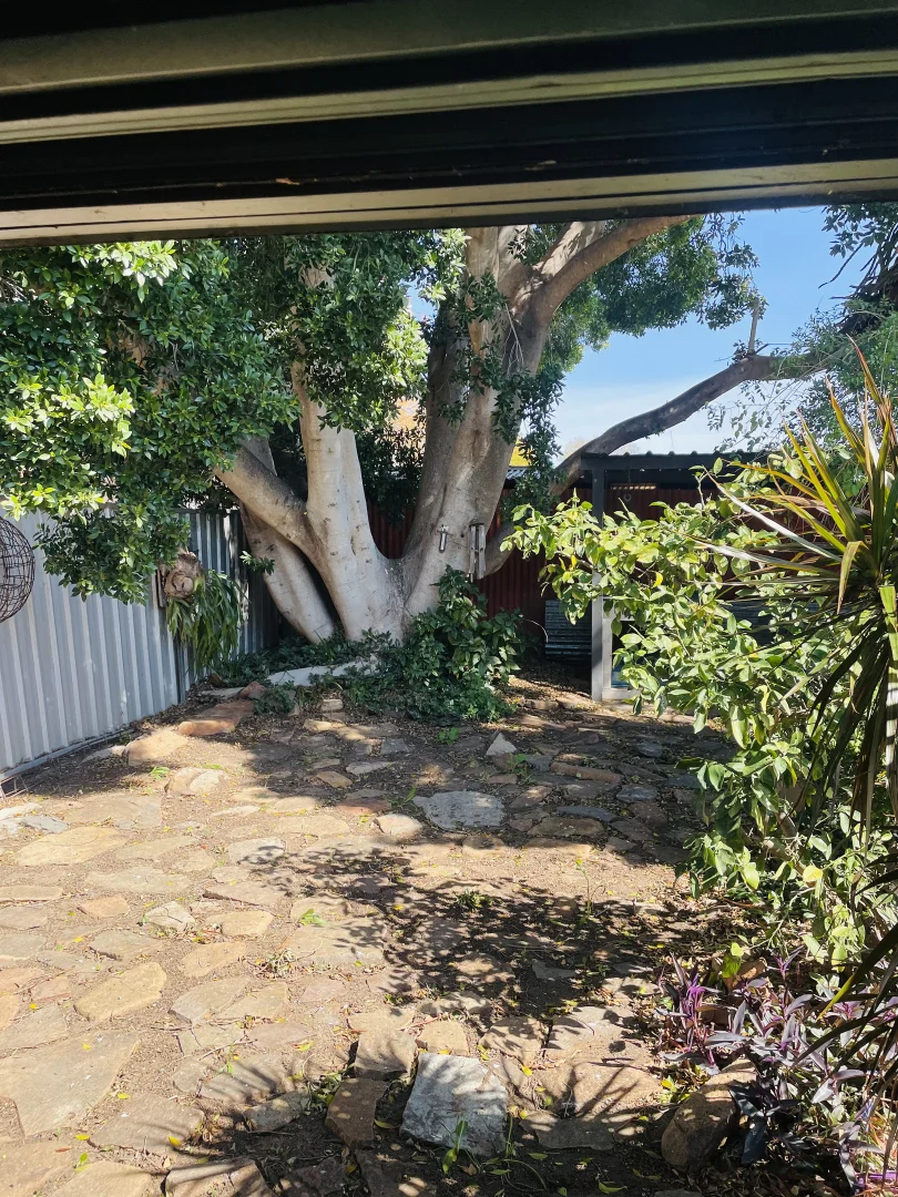 Additional image 18 of 19 Milson St, Warren NSW 2824