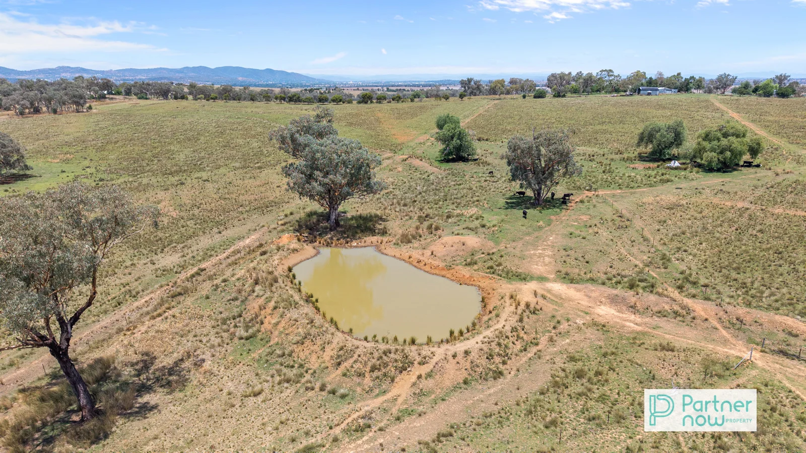 Additional image 17 of 1717 Oxley Highway, Tamworth NSW 2340