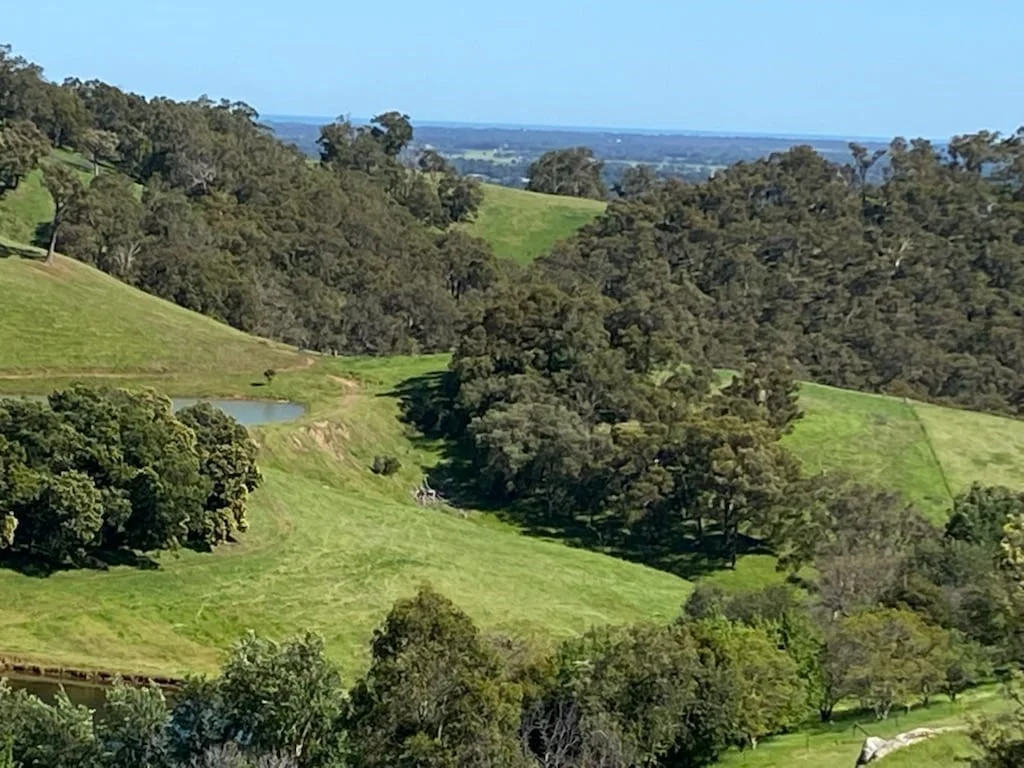 Additional image 16 of Lot 8 Catalano Road, Burekup WA 6227