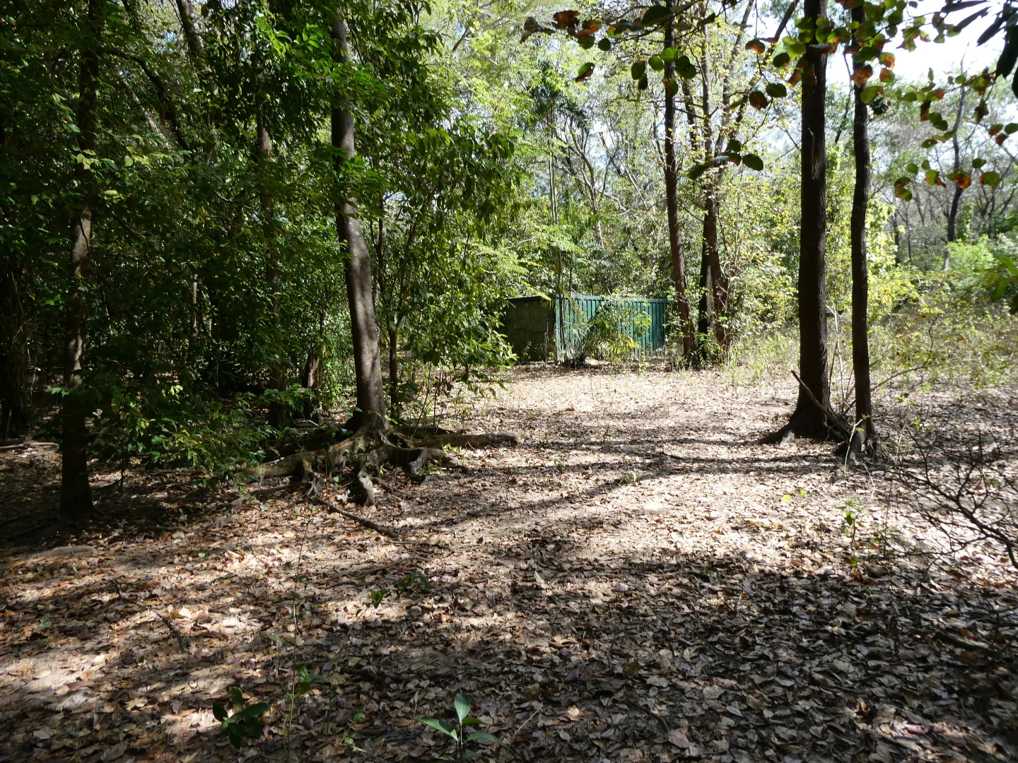 Additional image 29 of Bynoe NT 0822