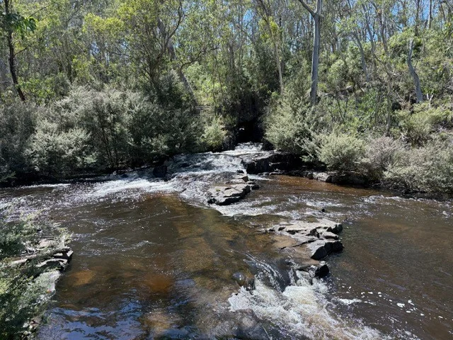 Additional image 5 of 710 Old Bendoc Bonang Road, Bendoc VIC 3888