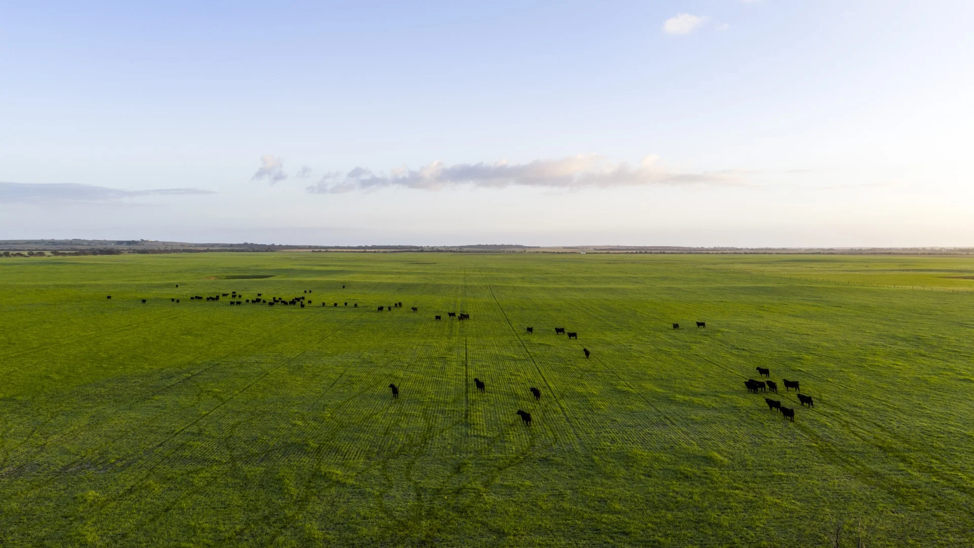 Additional image 9 of 1579 Chappel Road, Telopea Downs VIC 3420