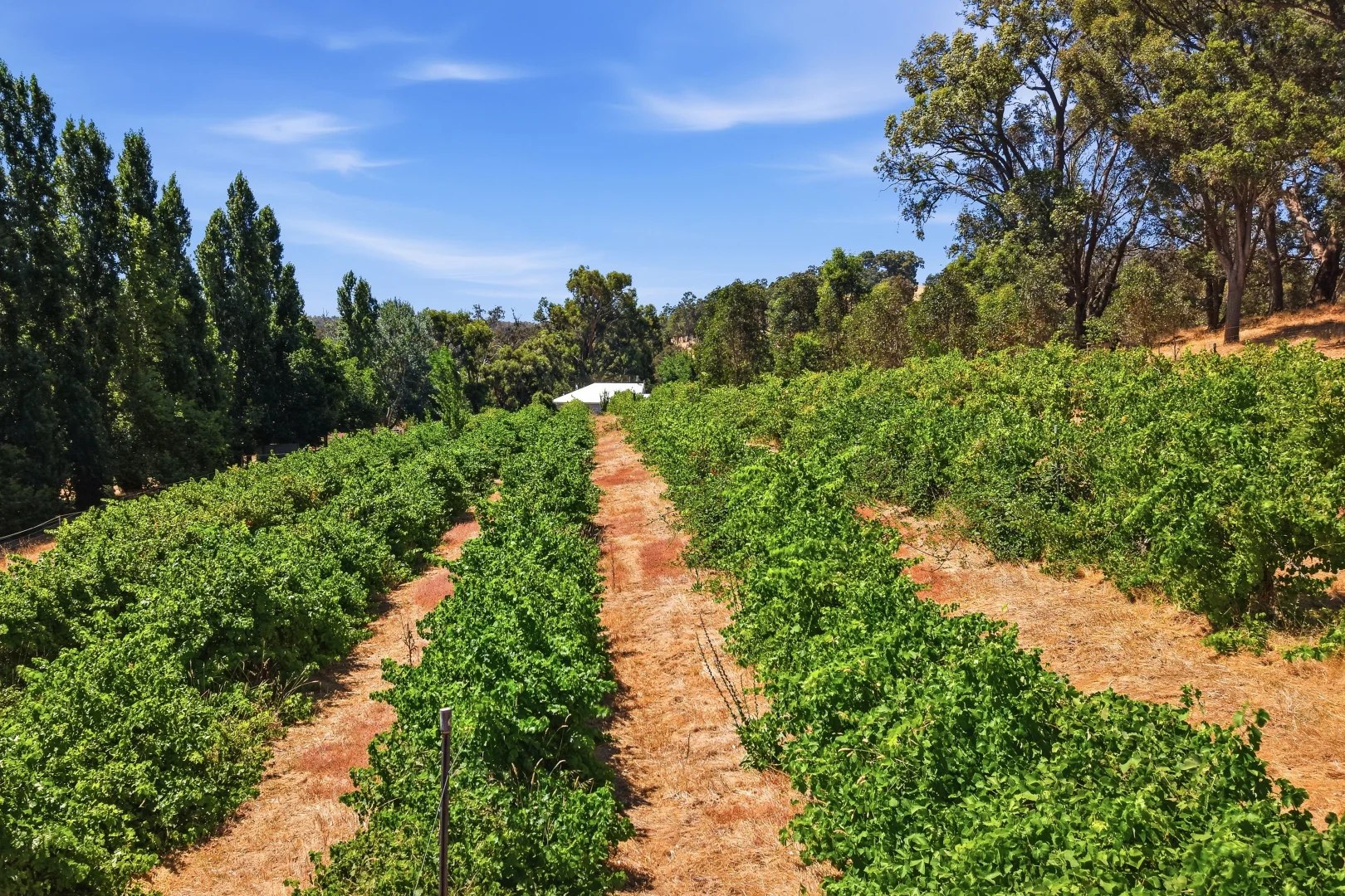 Additional image 13 of Lot 30 Windy Hollow Vale, Kangaroo Gully WA 6255