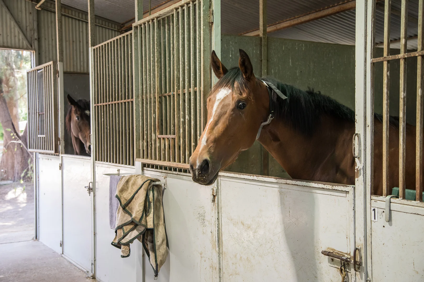 Additional image 20 of 131 Racecourse Road, Clarendon NSW 2756