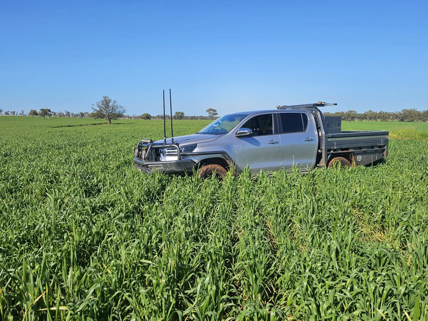 Additional image 44 of 492 Eremeran Road, Condobolin NSW 2877