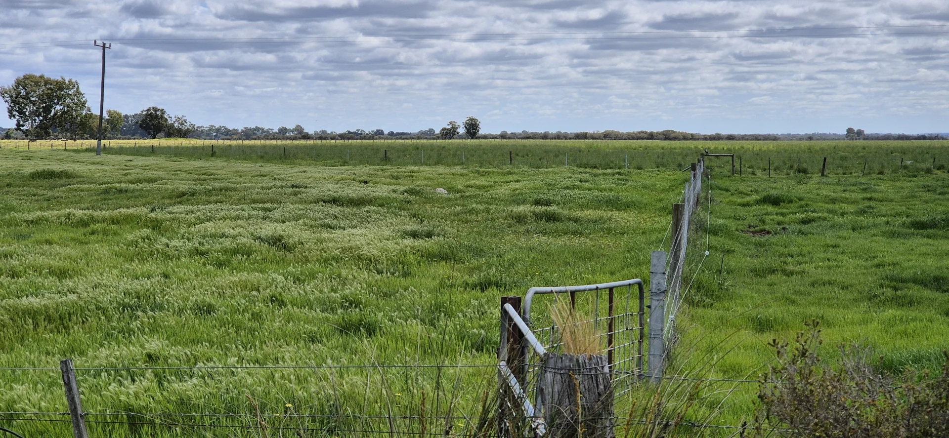 Additional image 15 of 4 Pin Pin Road, Beermullah WA 6503