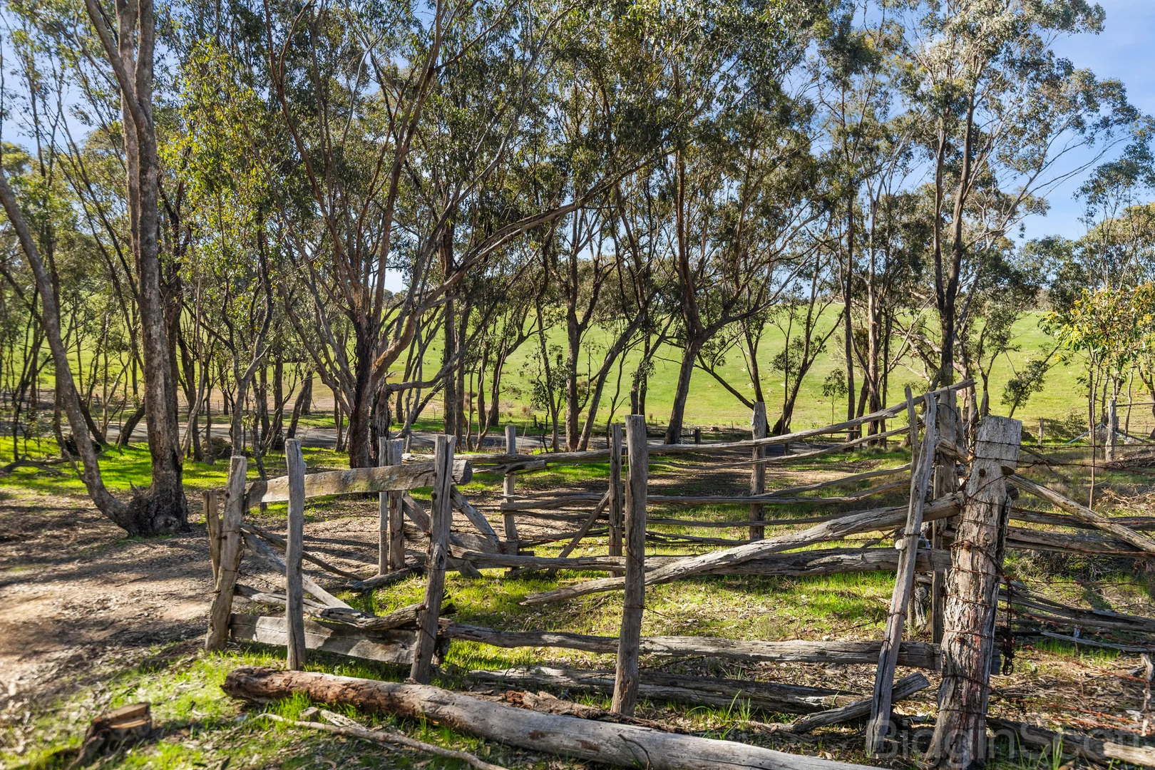 Additional image 16 of 595 Providence Gully Road, Yandoit Hills VIC 3461